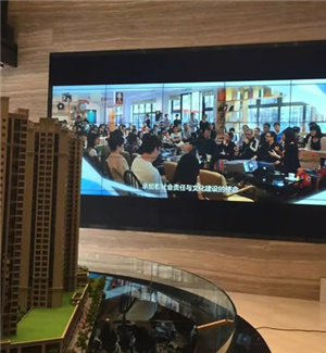 Sales Department 5 * 5 55 inch splicing screen case display