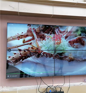 Dongguan Gaobu first comprehensive market 55 inch 8mm2x2 distributor + wall mounted bracket