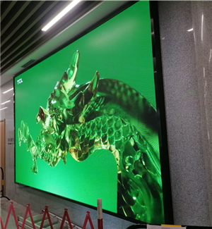 Liuzhou Science and Technology Association P2.5 Full Color LED